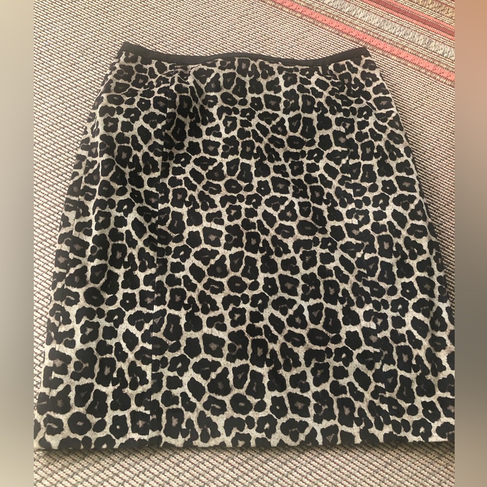 Skirt ( Liz Claiborne)
